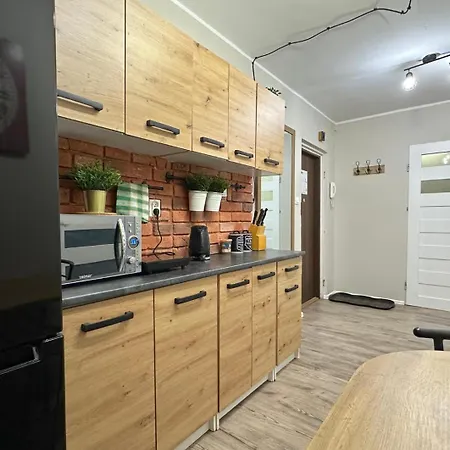 Cactus 10 Min To Old Town Gdansk,pkp & Shopping Mall Homestay